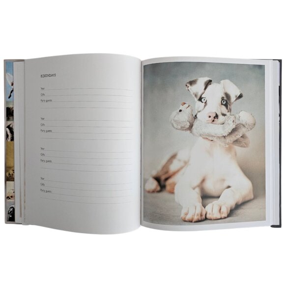 My Dog Record Book By Rachael Hale | Hardcover | NWT | Gray Red - Picture 8 of 12